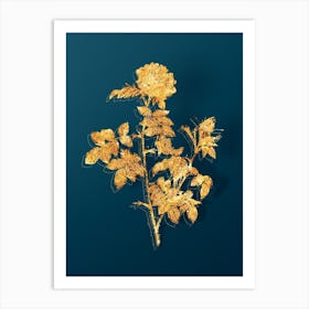 Vintage Pink Rosebush Botanical in Gold on Teal Blue n.0134 Art Print