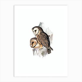 Vintage Chestnut Faced Owl Bird Illustration on Pure White Art Print