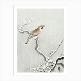 Bohemian Bird On Snowy Branch (1900 1930), Ohara Koson Art Print