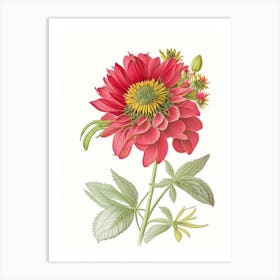 Zinnia Floral Quentin Blake Inspired Illustration Flower Art Print