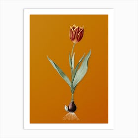 Vintage Tulip Botanical on Sunset Orange n.0662 Art Print