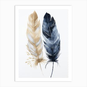 Feathers 1 Art Print