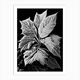 Walnuts Leaf Linocut Art Print