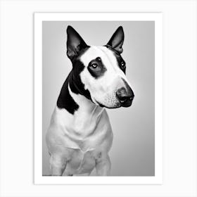 Bull Terrier B&W Pencil Dog Art Print