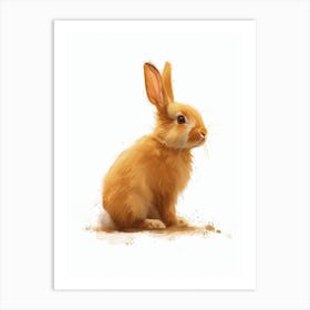 Florida White Rabbit Nursery Illustration 2 Art Print