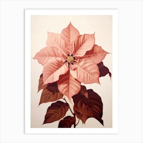 Floral Illustration Poinsettia 3 Art Print