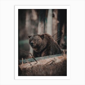 Moody Forest Bear Art Print