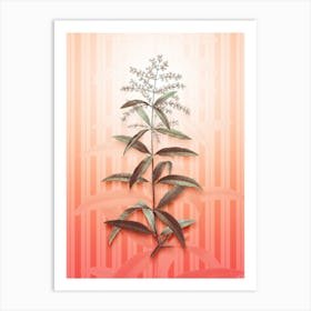 Lemon Verbena Vintage Botanical in Peach Fuzz Awning Stripes Pattern n.0228 Art Print