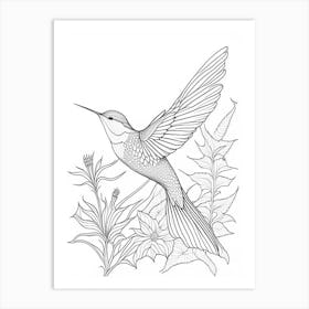 Broad Tailed Hummingbird William Morris Line Drawing Art Print
