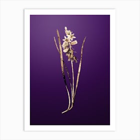 Gold Botanical Drooping Star of Bethlehem on Royal Purple n.4589 Art Print