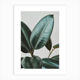 Green Leaf 1 Art Print