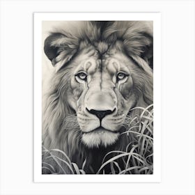 African Lion Realism Portrait 3 Art Print