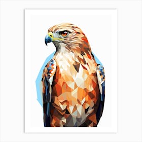Colourful Geometric Bird Red Tailed Hawk 2 Art Print