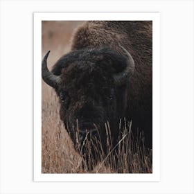 Modern Bison View Art Print