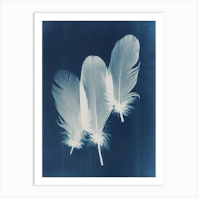 Feathers Art Print