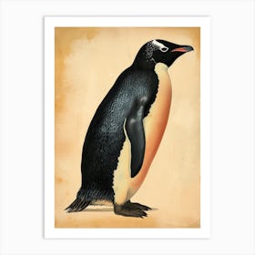 Adlie Penguin Stewart Island Ulva Island Vintage Botanical Painting 2 Art Print