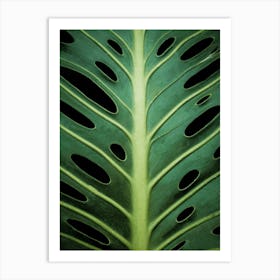 Monstera Leaf 1 Art Print