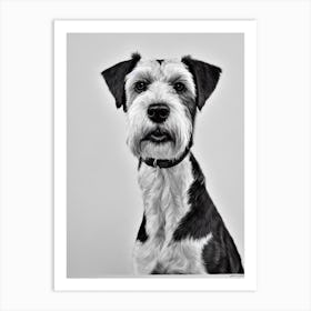 Irish Terrier B&W Pencil Dog Art Print