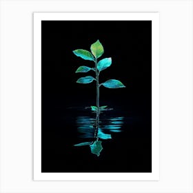 Reflection Of A Leaf In Water Art Print