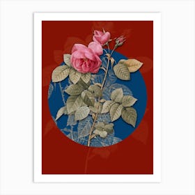 Vintage Botanical Pink Bourbon Roses on Circle Blue on Red n.0091 Art Print