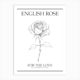 English Rose Black And White Line Drawing 18 Poster Art Print