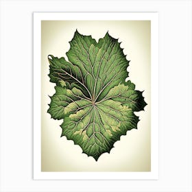 Malva Leaf Vintage Botanical 3 Art Print