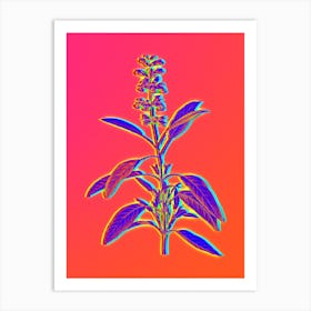 Neon Sage Plant Botanical in Hot Pink and Electric Blue n.0044 Art Print