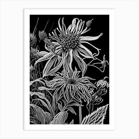 Bee Balm Wildflower Linocut 2 Art Print