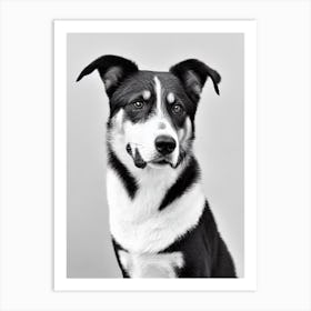 Beauceron B&W Pencil Dog Art Print