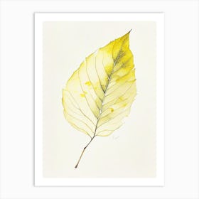Yellow Birch Leaf Minimalist Watercolour 2 Art Print