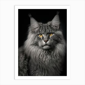 Maine Coon Cat 1 Art Print