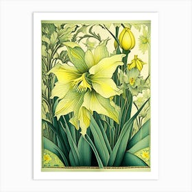 Daffodil 3 Floral Botanical Vintage Poster Flower Art Print