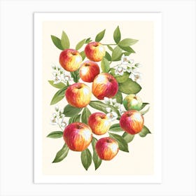 Apples Art Print