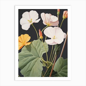 Flower Illustration Nasturtium 1 Art Print