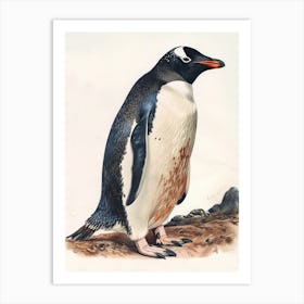 Adlie Penguin Laurie Island Vintage Botanical Painting 3 Art Print