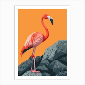 Greater Flamingo Galapagos Islands Ecuador Tropical Illustration 4 Art Print