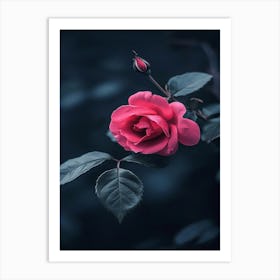 Dark Rose 114 Art Print