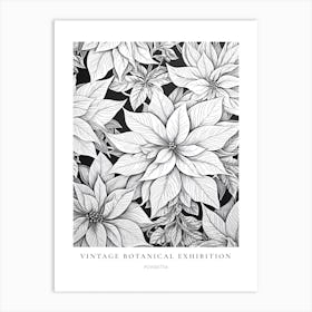 Poinsettia B&W Vintage Botanical Poster Art Print