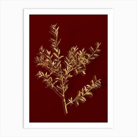 Vintage Myrtle Dahoon Branch Botanical in Gold on Red Art Print