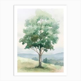 Eucalyptus Tree Atmospheric Watercolour Painting 4 Art Print