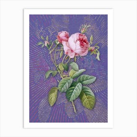 Vintage Pink Cabbage Rose de Mai Botanical Illustration on Veri Peri n.0764 Art Print