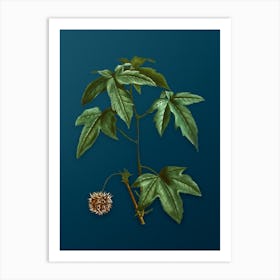 Vintage American Sweetgum Botanical Art on Teal Blue Art Print