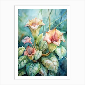 Calla Lily Art Print