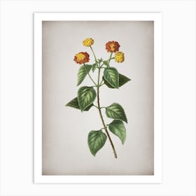 Vintage Tickberry on Branches Botanical on Parchment n.0719 Art Print