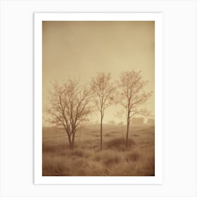 Three Trees In A Field Art Print