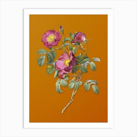 Vintage Rose of Love Bloom Botanical on Sunset Orange n.0526 Art Print