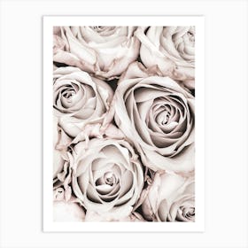 Pink Roses Vintage_2066825 Art Print