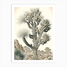 Joshua Tree Pattern Vintage Botanical Line Drawing  (2) Art Print