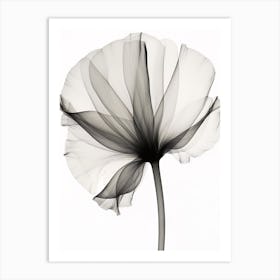 X Ray Flower 1 Art Print