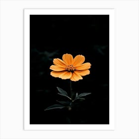 Orange Flower 12 Art Print